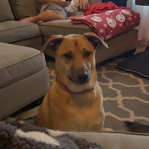 Meet your Posher, Debbi